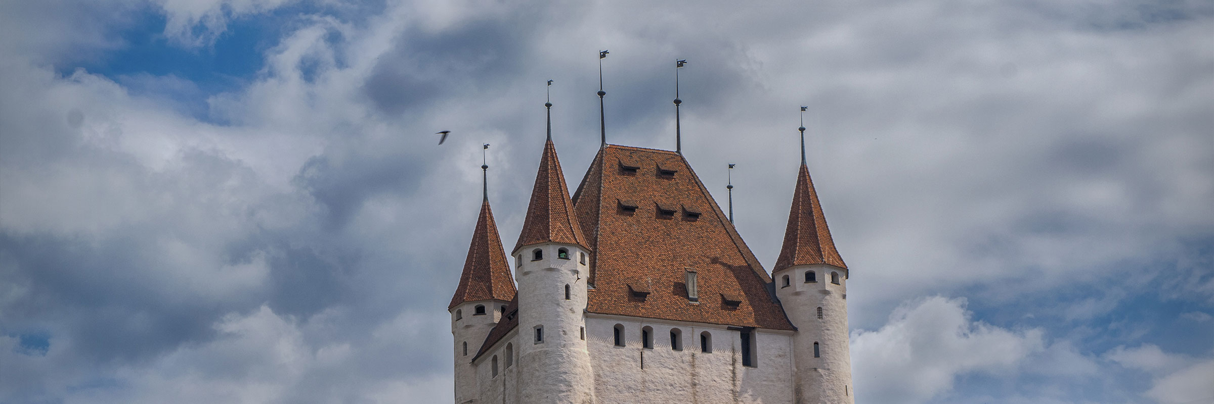 Bühler Vermögensverwaltung AG